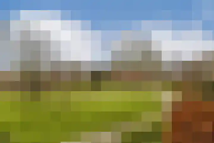 Beysterveld 165 Amsterdam thumbnail 16