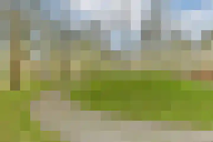 Beysterveld 165 Amsterdam thumbnail 20
