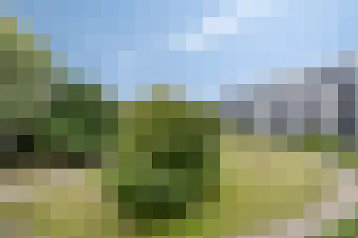 Beysterveld 19 Amsterdam thumbnail 25