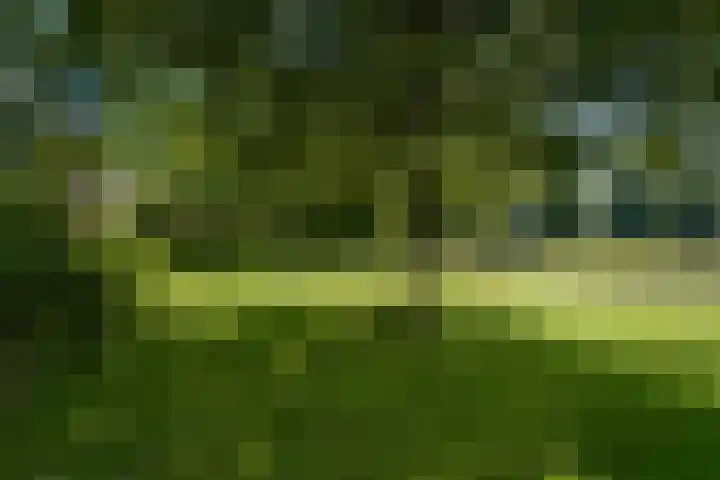 Beysterveld 207 Amsterdam thumbnail 18