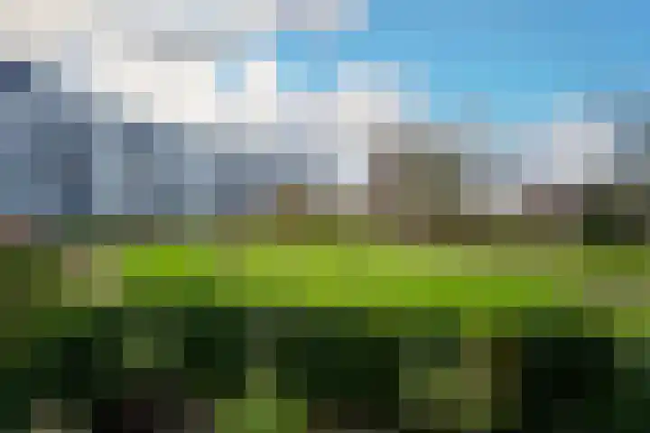 Beysterveld 207 Amsterdam thumbnail 4