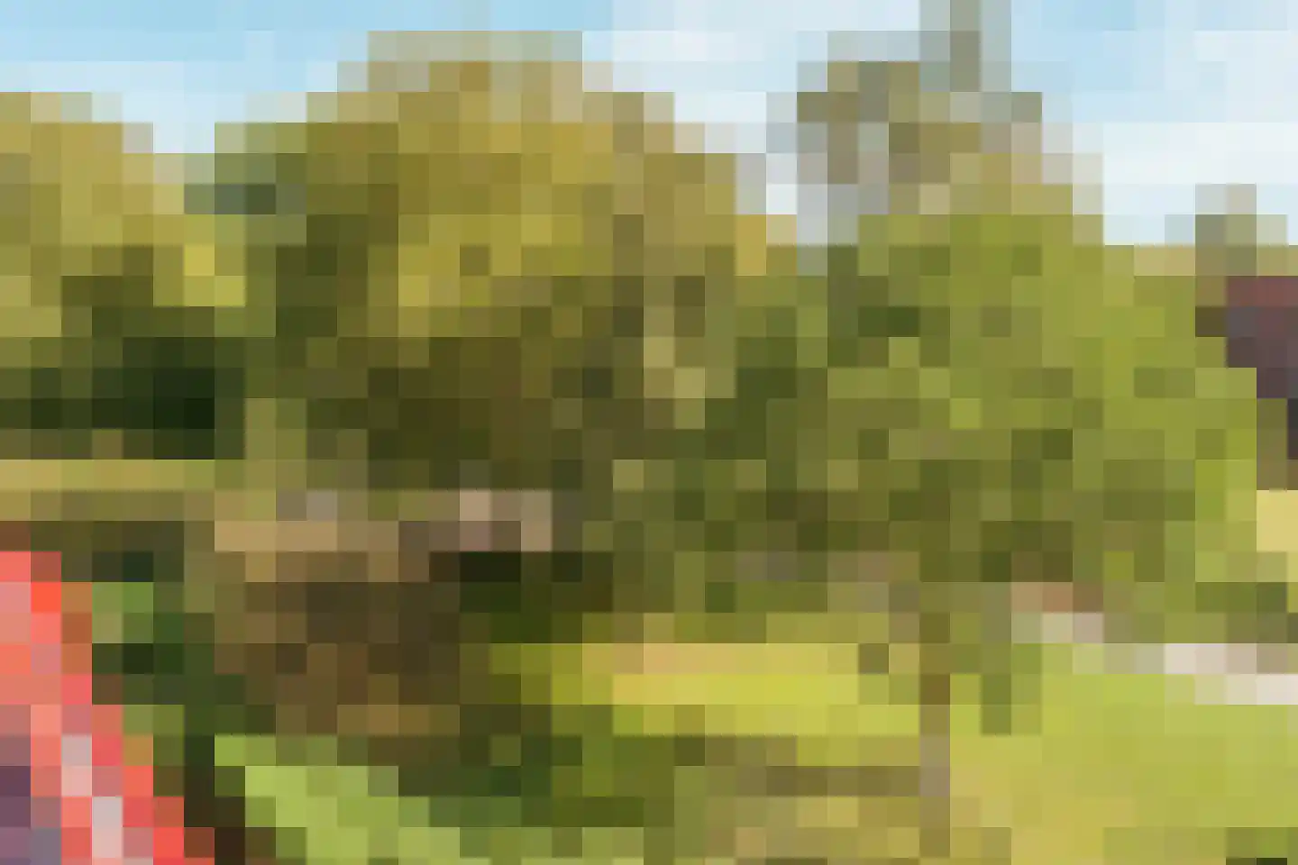 Beysterveld 273 Amsterdam thumbnail 20
