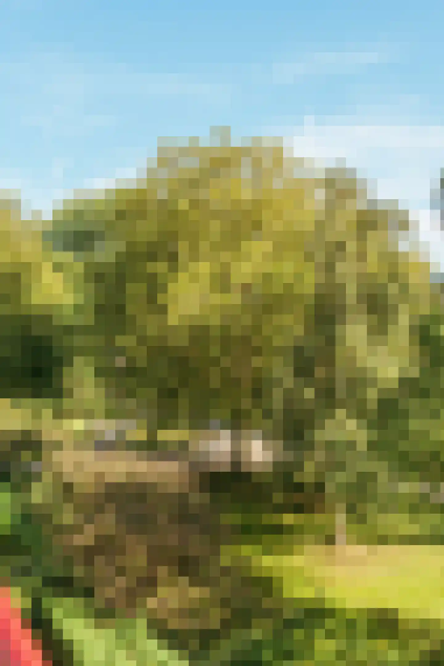 Beysterveld 273 Amsterdam thumbnail 22