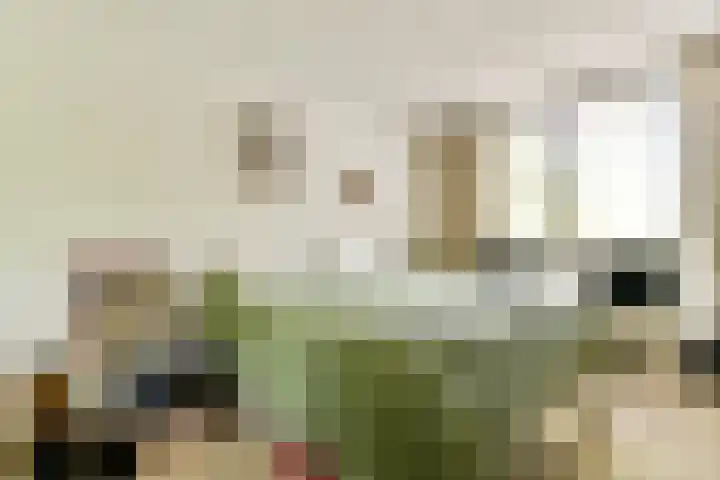 Beysterveld 89 Amsterdam thumbnail 13