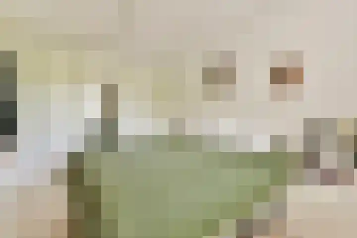 Beysterveld 89 Amsterdam thumbnail 14