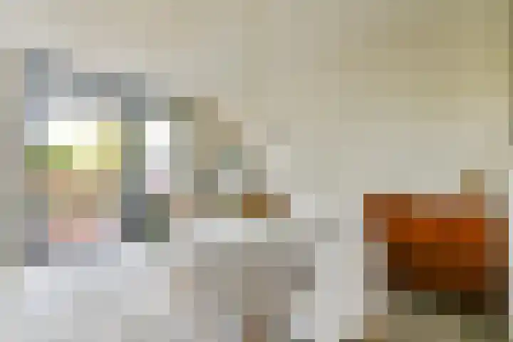 Beysterveld 89 Amsterdam thumbnail 6