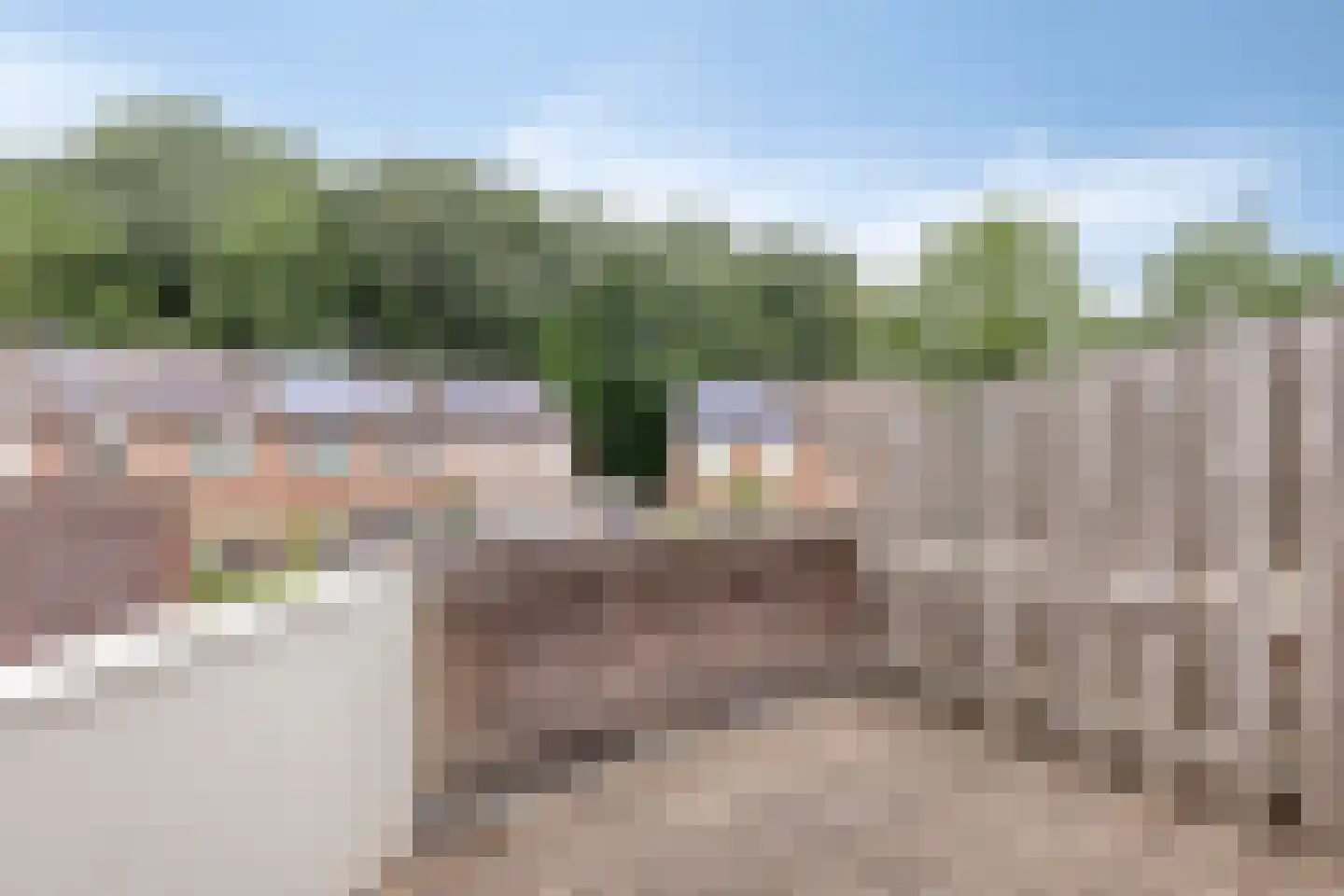 Bezaan 22 Veenendaal thumbnail 10