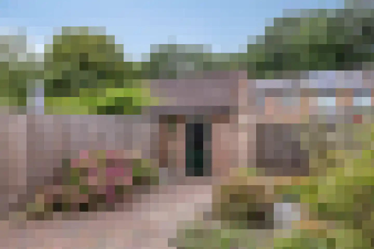 Bezaan 22 Veenendaal thumbnail 21