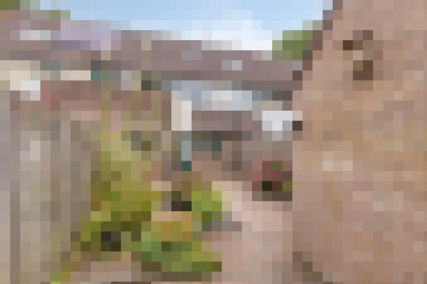 Bezaan 22 Veenendaal thumbnail 22