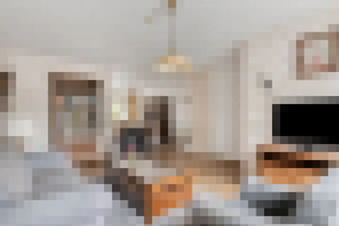 Bezaan 22 Veenendaal thumbnail 7