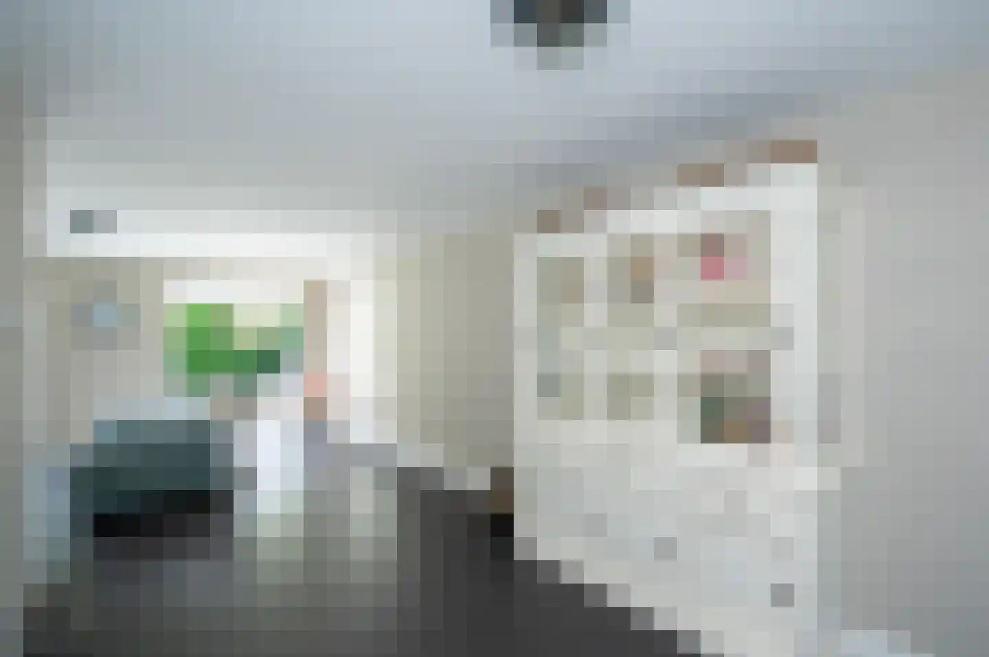 Bezaan 25 Almere thumbnail 16