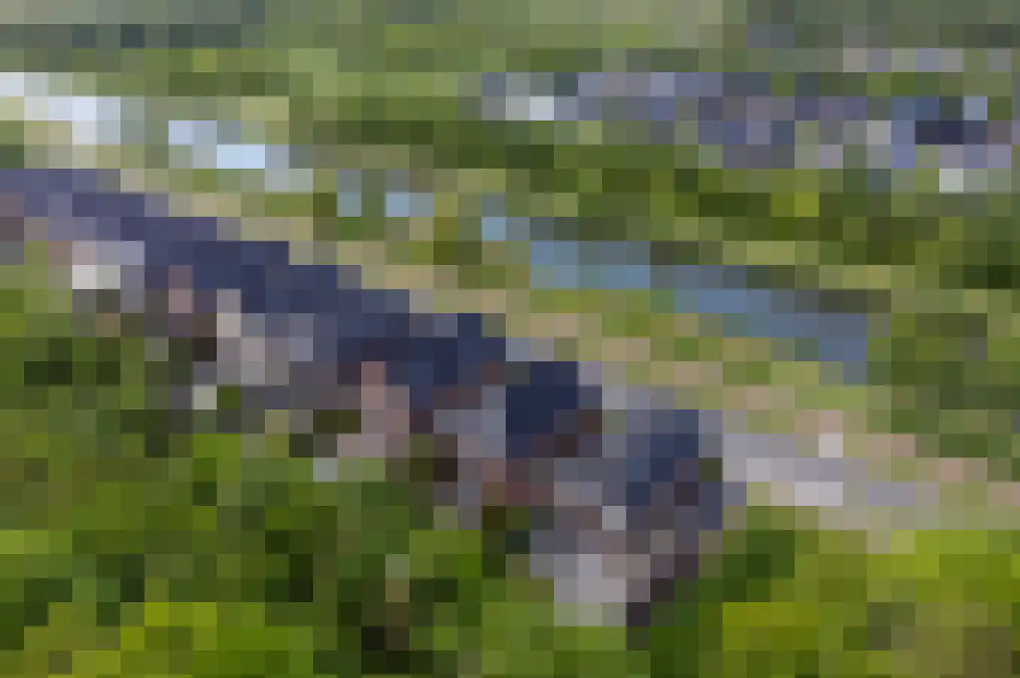 Bezaan 25 Almere thumbnail 33