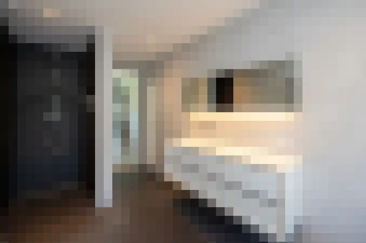Bezaan 25 Almere thumbnail 47