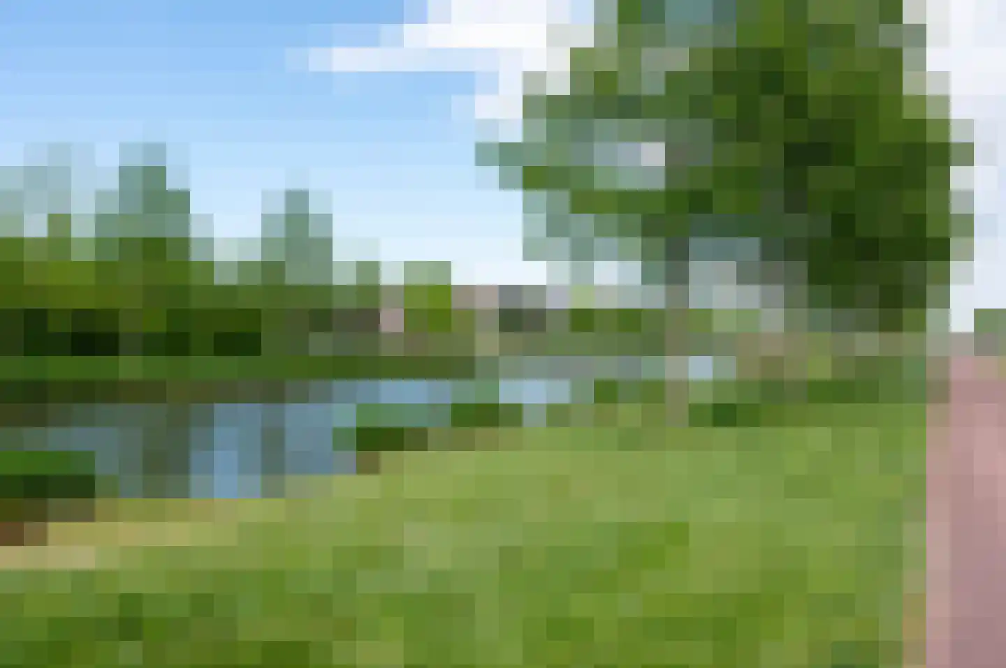 Bezaan 25 Almere thumbnail 60