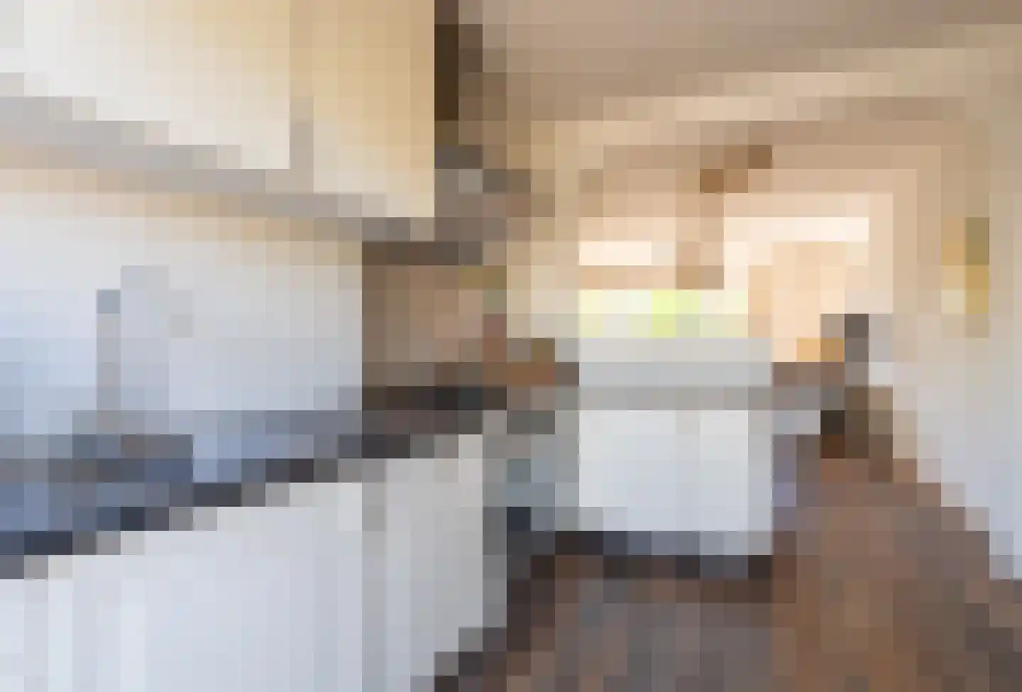 Bezaan 3 Huizen thumbnail 19