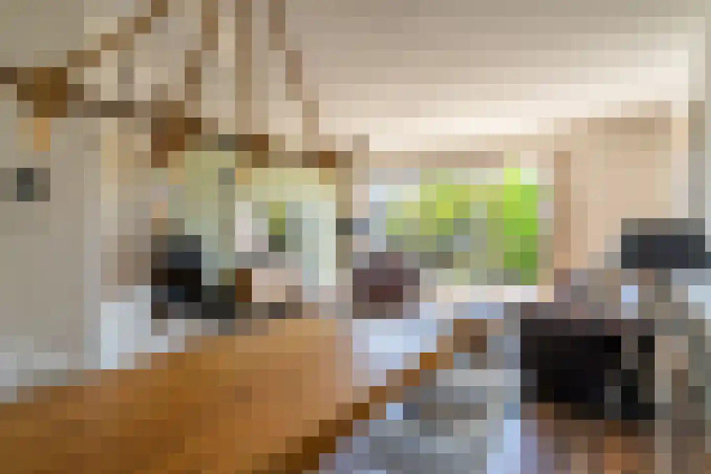 Bezaan 3 Huizen thumbnail 20