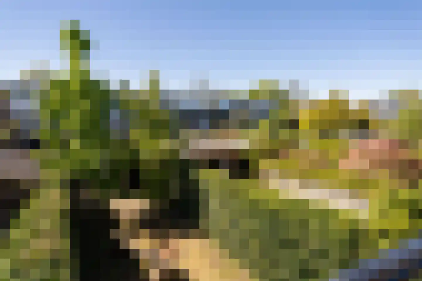 Bezaan 3 Huizen thumbnail 22