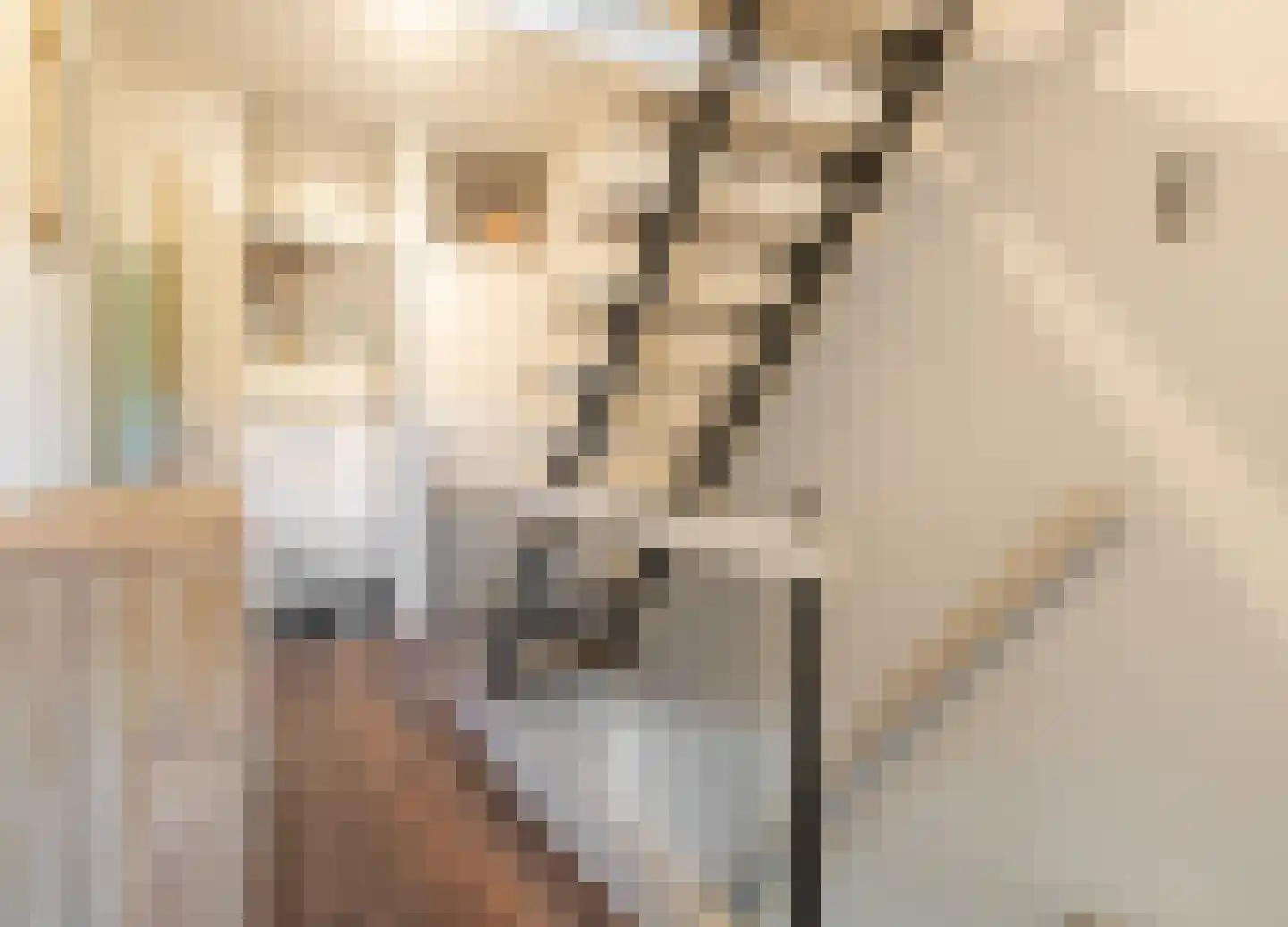 Bezaan 3 Huizen thumbnail 28