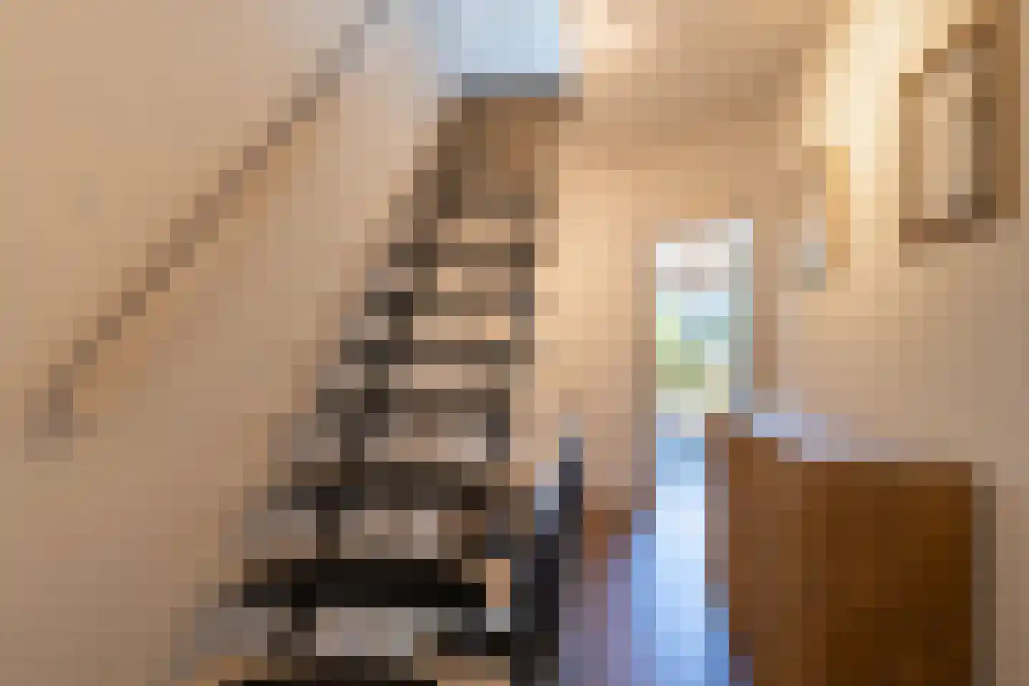 Bezaan 3 Huizen thumbnail 29