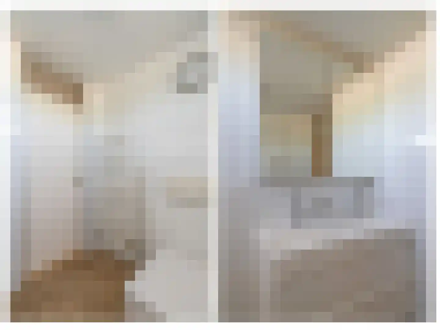 Bezaan 3 Huizen thumbnail 36