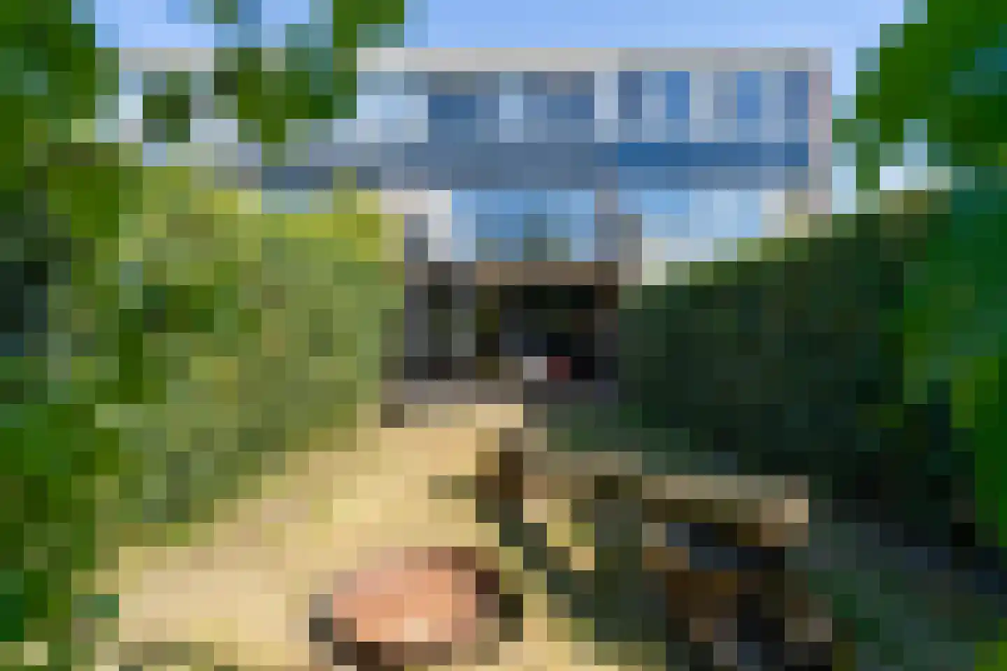 Bezaan 3 Huizen thumbnail 37