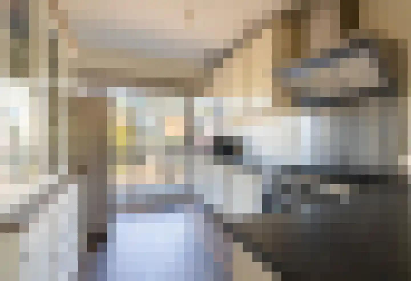 Bezaan 3 Huizen thumbnail 4