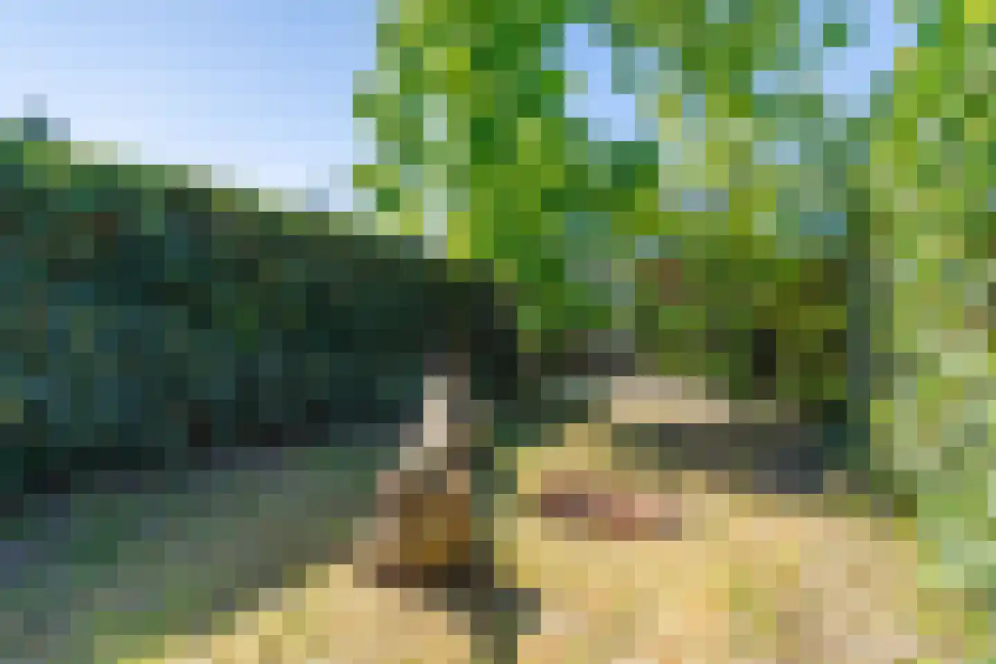 Bezaan 3 Huizen thumbnail 7