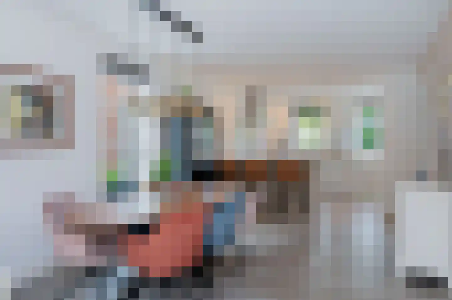 Bezaan 33 Almere thumbnail 12