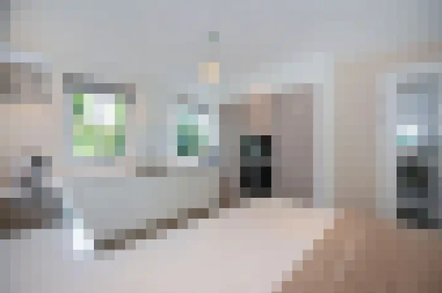 Bezaan 33 Almere thumbnail 18