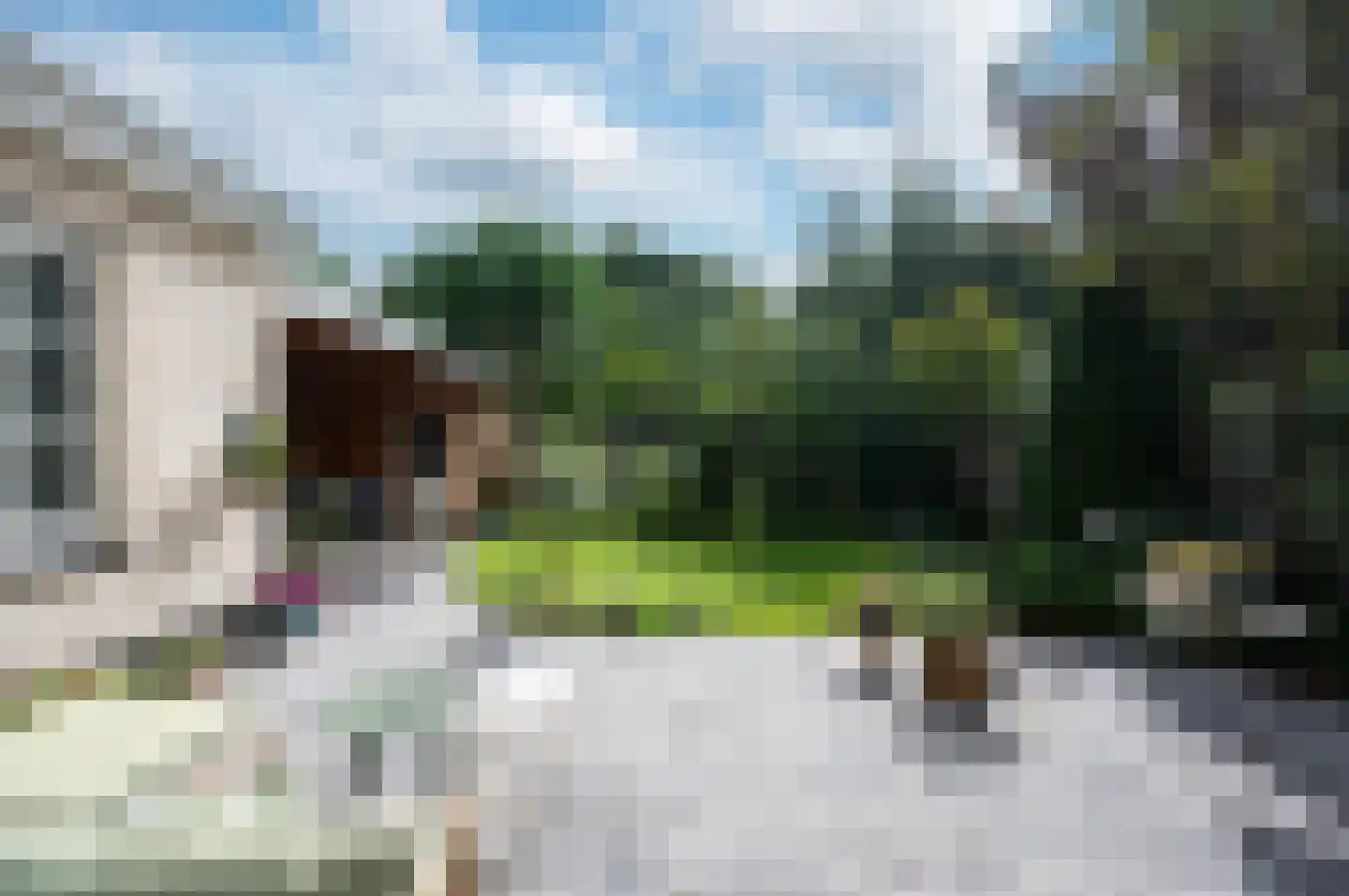Bezaan 33 Almere thumbnail 21