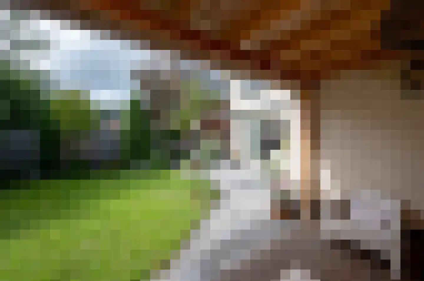Bezaan 33 Almere thumbnail 25