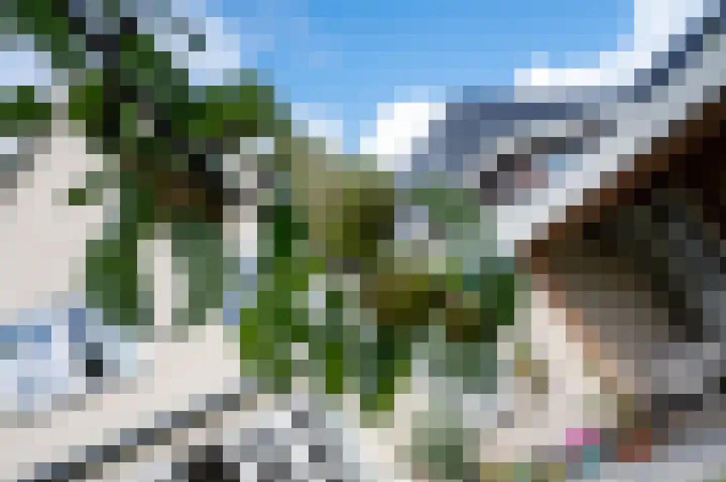 Bezaan 33 Almere thumbnail 30