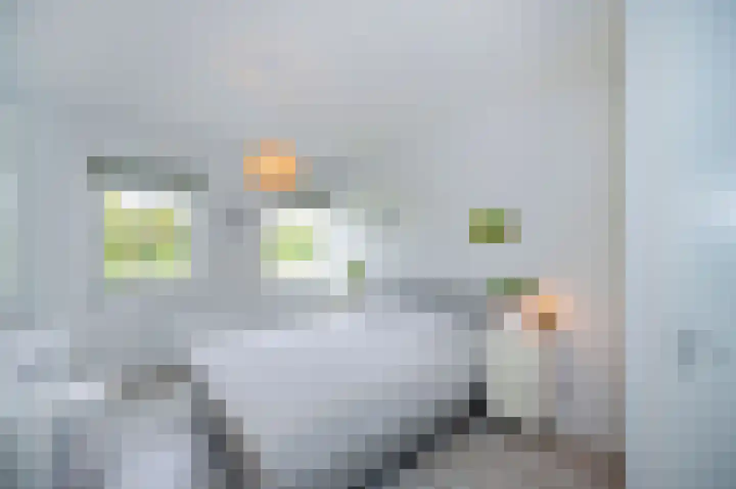 Bezaan 33 Almere thumbnail 38