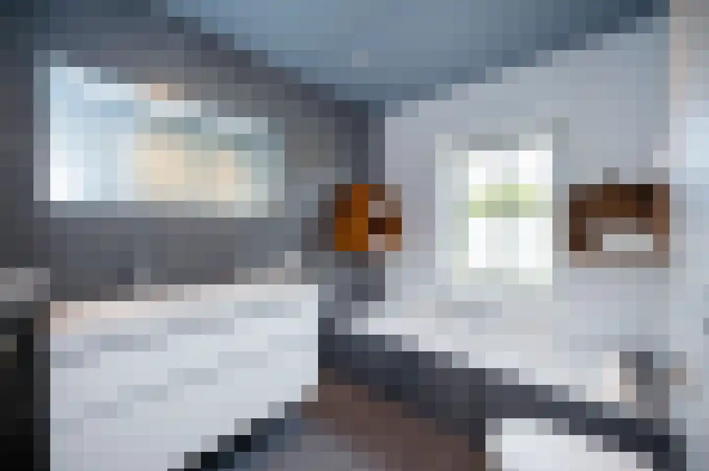 Bezaan 33 Almere thumbnail 41