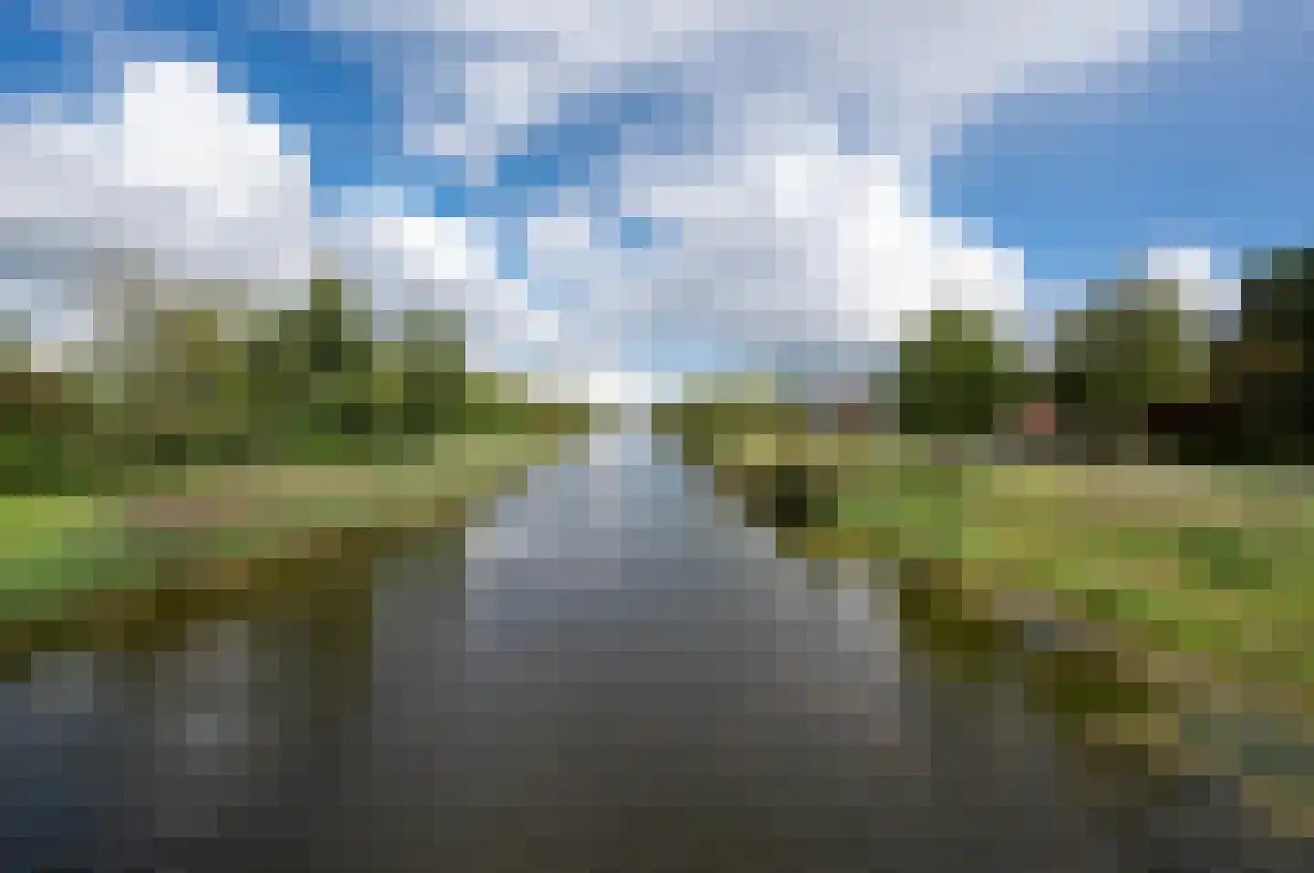 Bezaan 33 Almere thumbnail 63