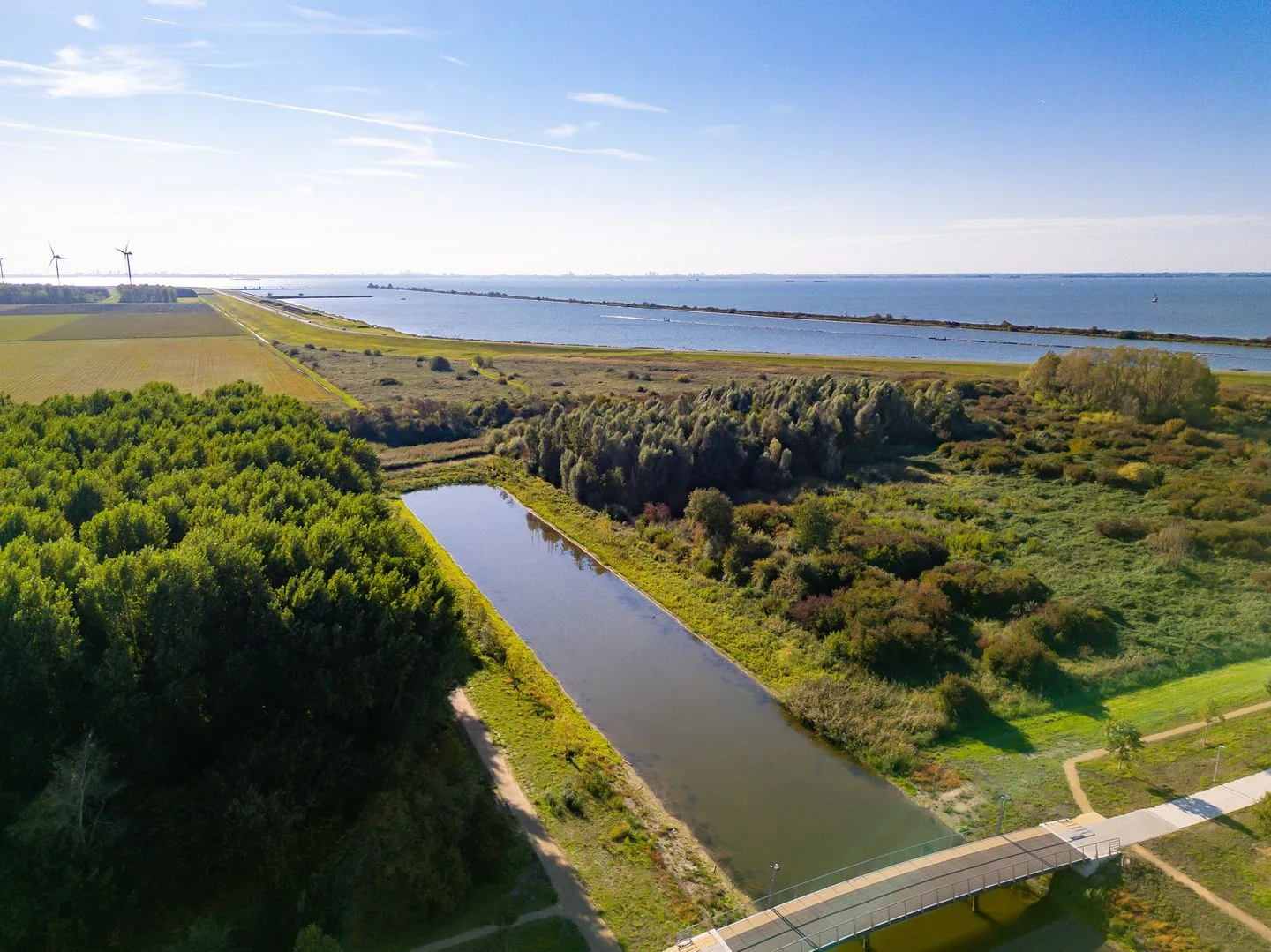 Bezaan 43 Almere thumbnail 92