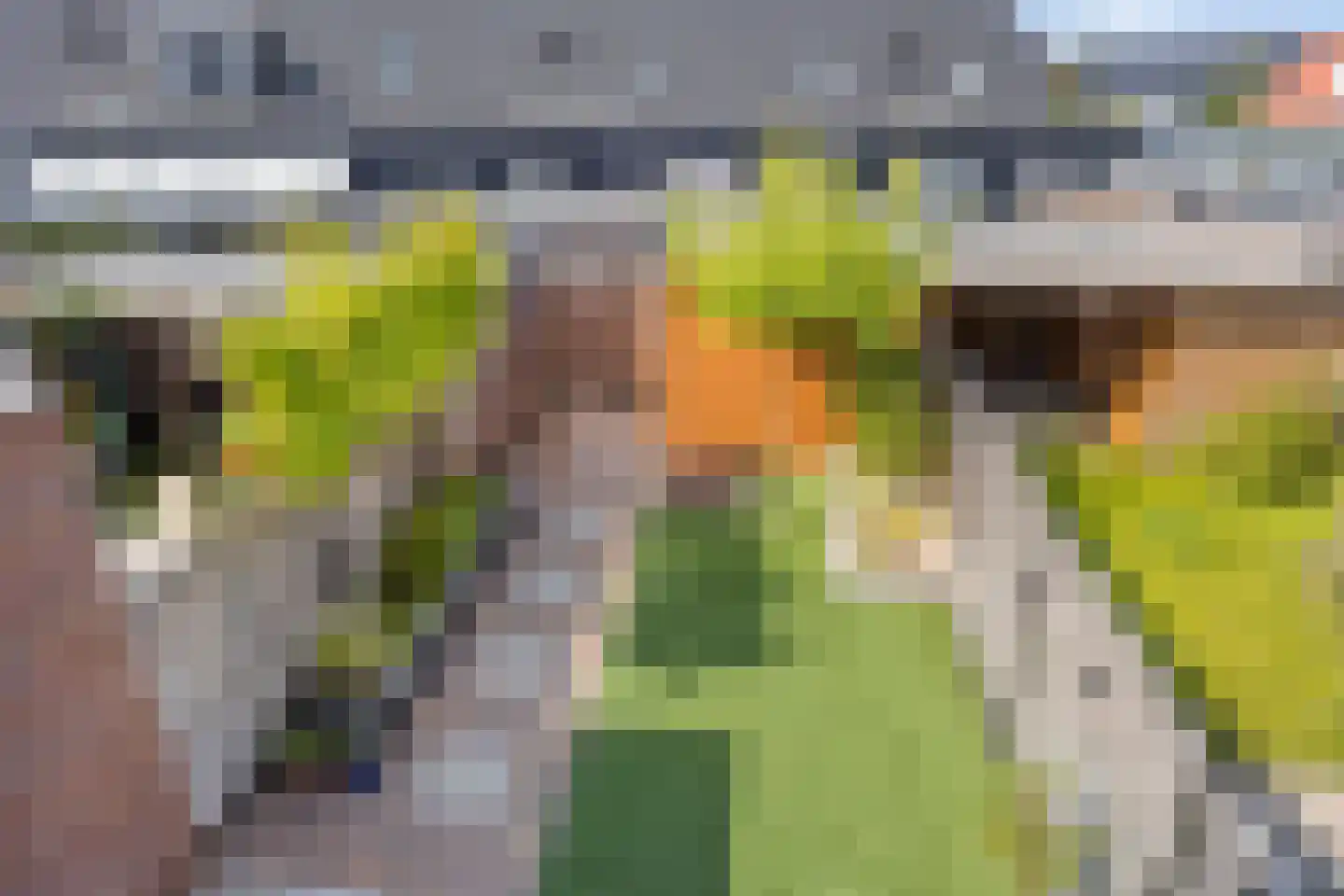 Bezaan 9 Sint-Annaland thumbnail 26