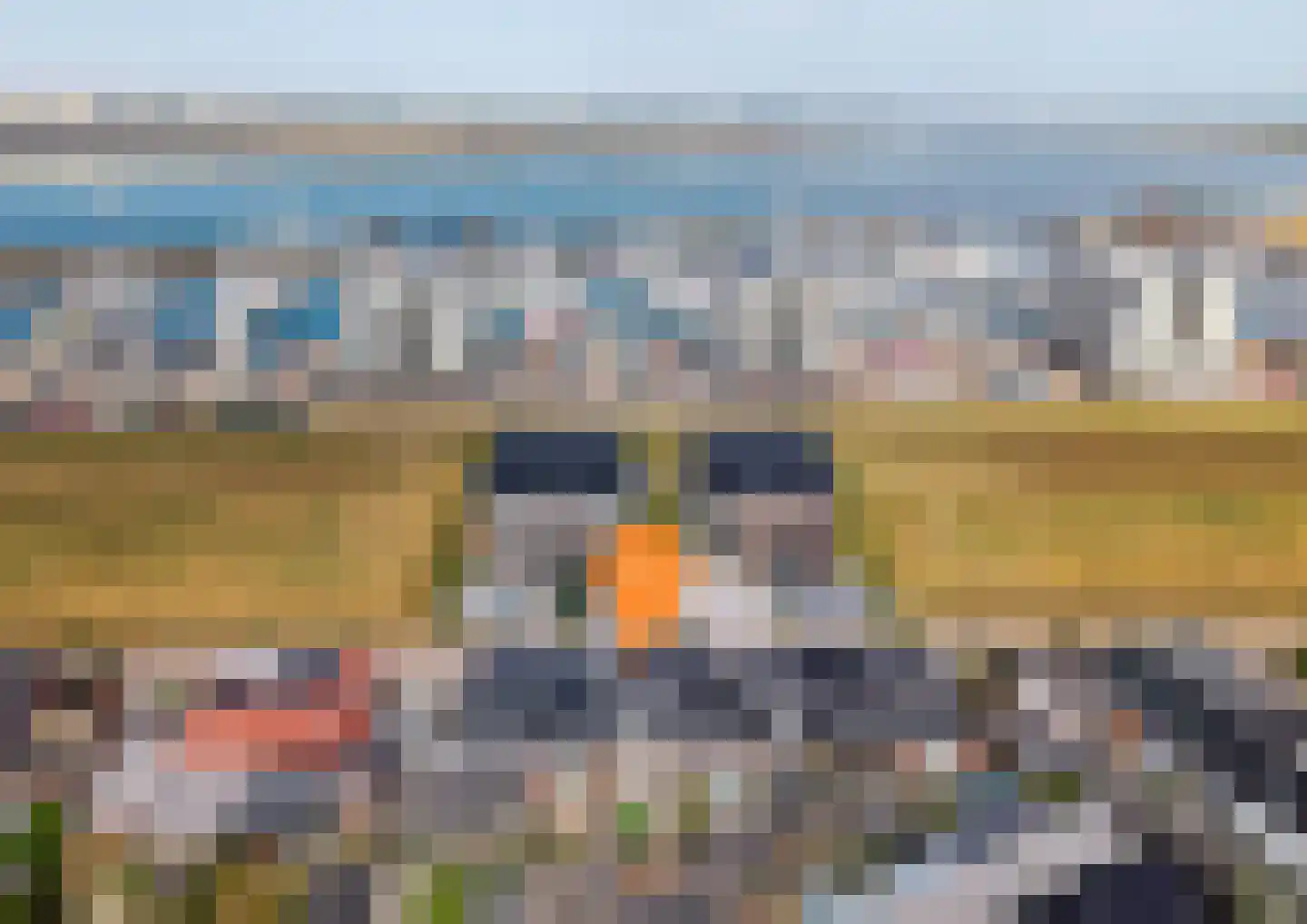 Bezaan 9 Sint-Annaland thumbnail 36