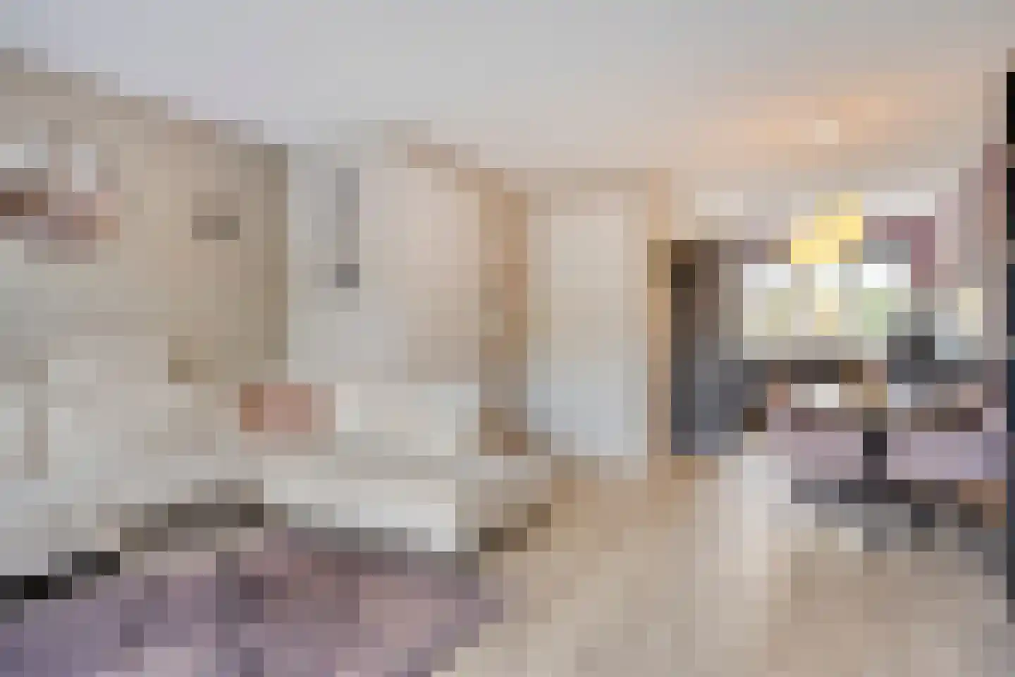 Bezaan 9 Sint-Annaland thumbnail 8
