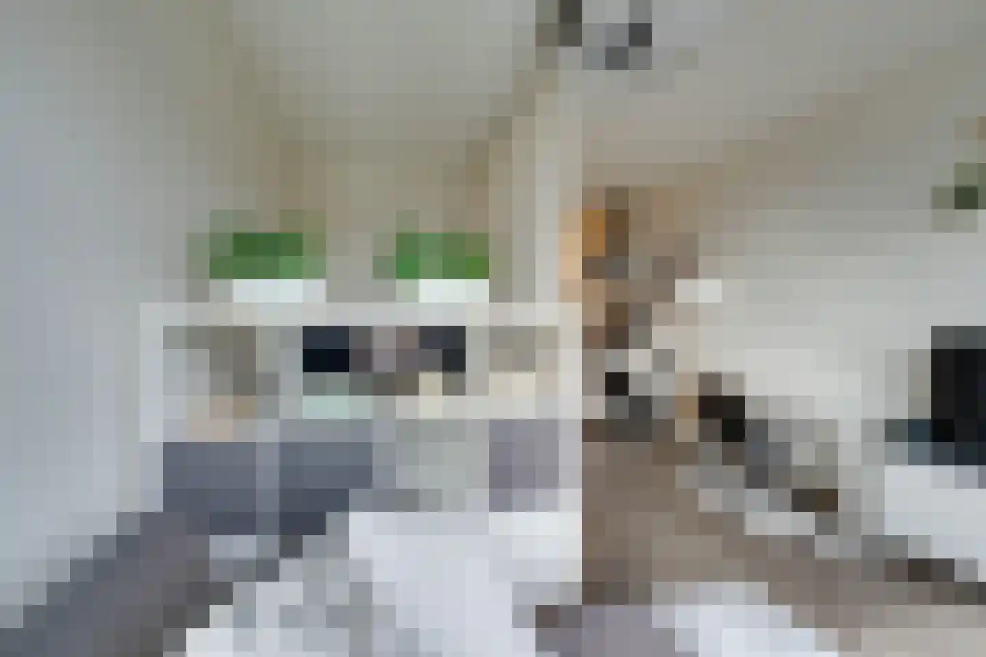 Bezaanjachtplein 103 Amsterdam thumbnail 8