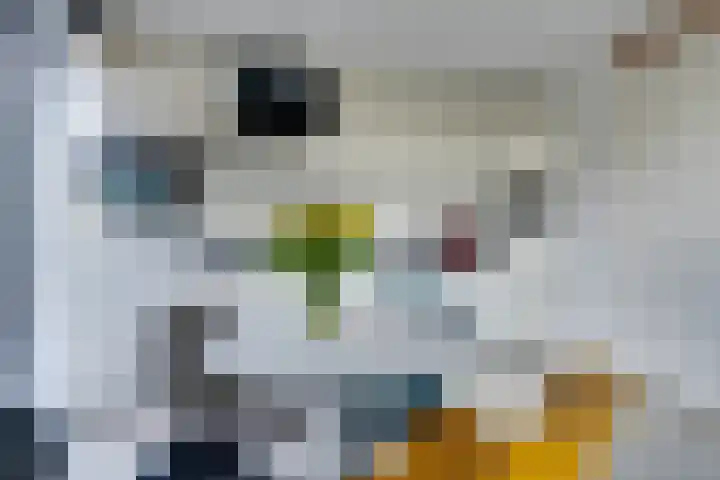 Bezaanjachtplein 21 Amsterdam thumbnail 12