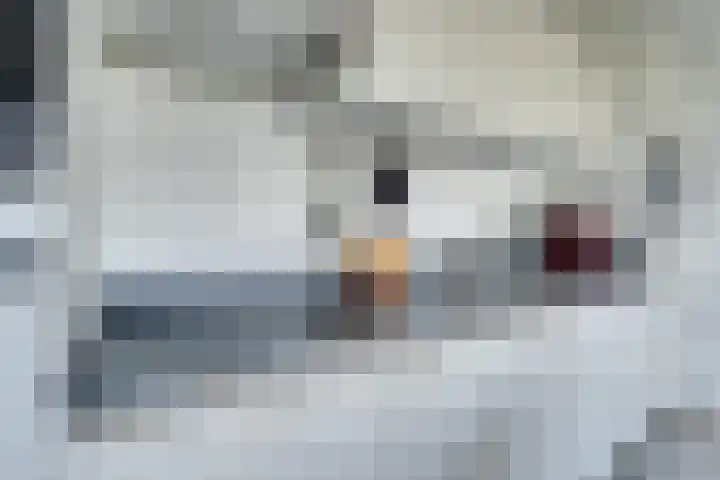 Bezaanjachtplein 21 Amsterdam thumbnail 15