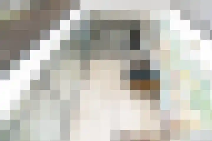Bezaansmast 11 Den Haag thumbnail 12