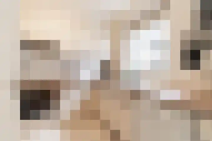 Bezaansmast 11 Den Haag thumbnail 18