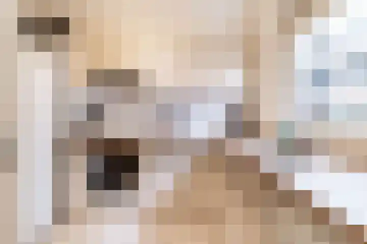 Bezaansmast 11 Den Haag thumbnail 19