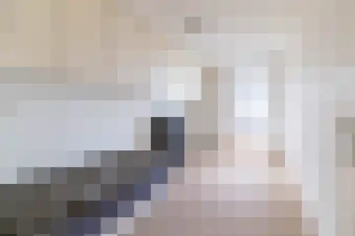 Bezaansmast 11 Den Haag thumbnail 26