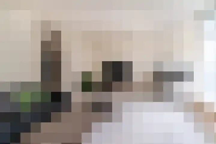 Bezaansmast 11 Den Haag thumbnail 9