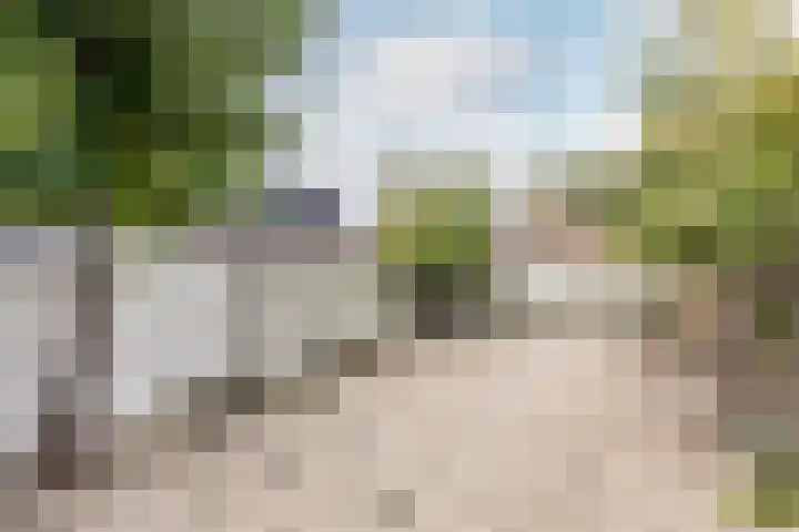 Bezaansmast 16 Hellevoetsluis thumbnail 30