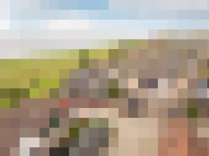 Bezaansmast 16 Hellevoetsluis thumbnail 36