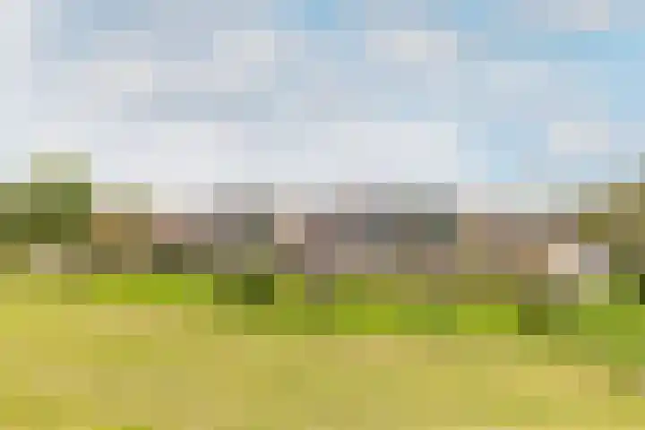 Bezaansmast 16 Hellevoetsluis thumbnail 37